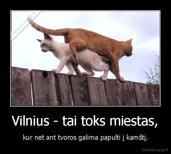 Vilnius - tai toks miestas,