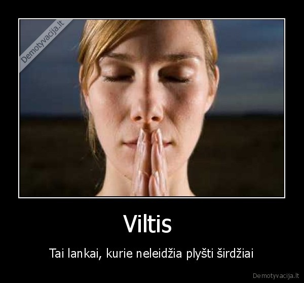 Viltis 