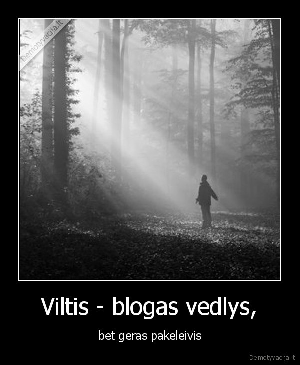 Viltis - blogas vedlys,