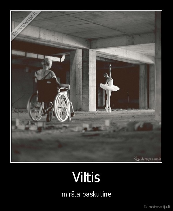 Viltis