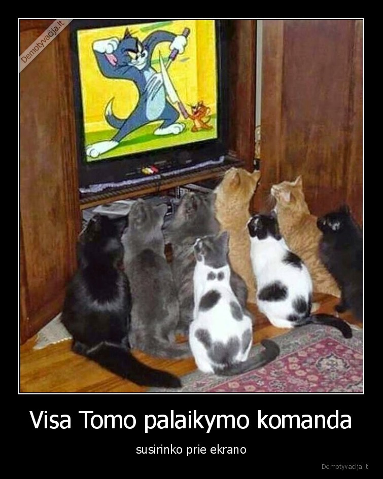 animacija,tomas, ir, dzeris,katinai,kates