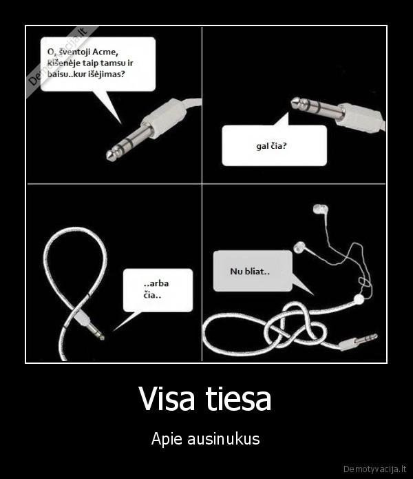 Visa tiesa