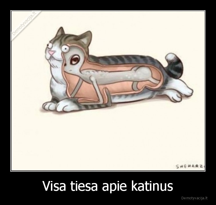 katinas,tiesa,kostiumas,ateivis