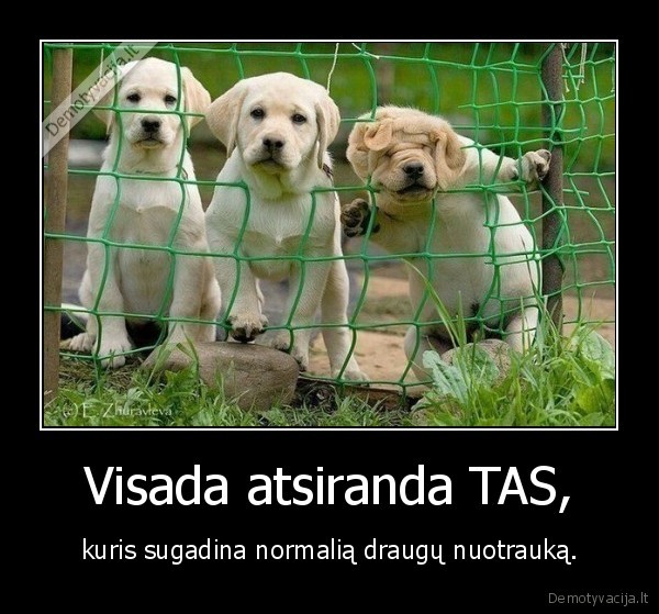 Visada atsiranda TAS,