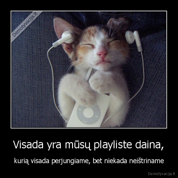 Visada yra mūsų playliste daina,