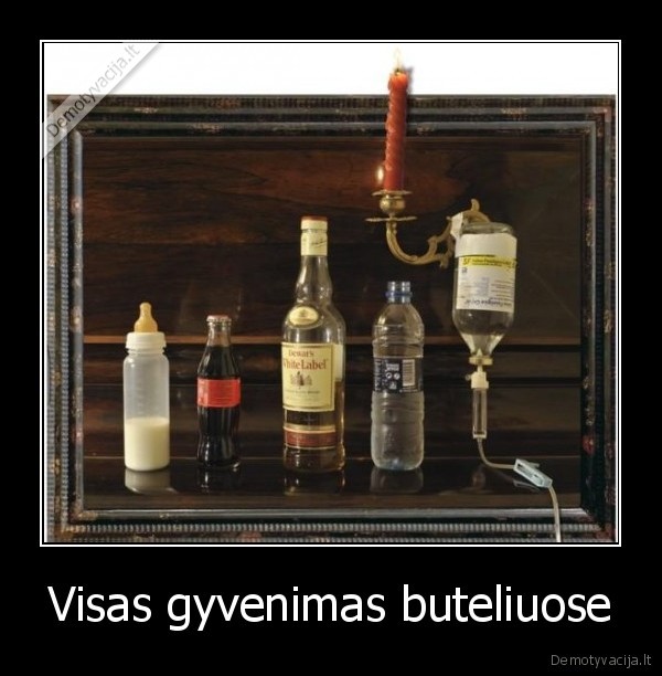 buteliai, gyvenimas