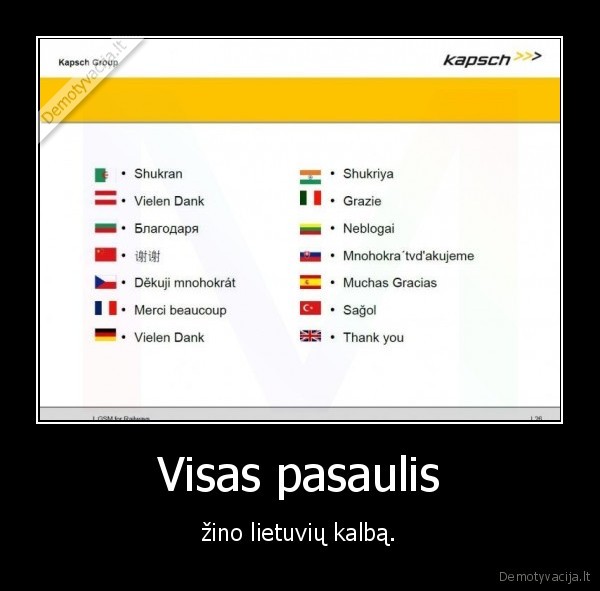 Visas pasaulis