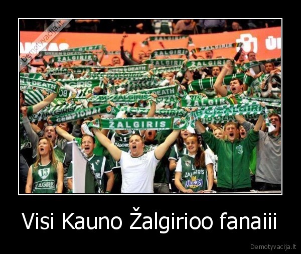 zalgiris, fanai