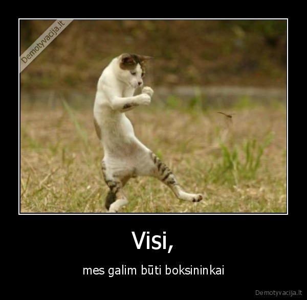 Visi,