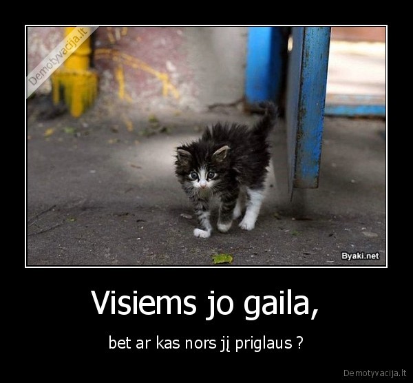 Visiems jo gaila,