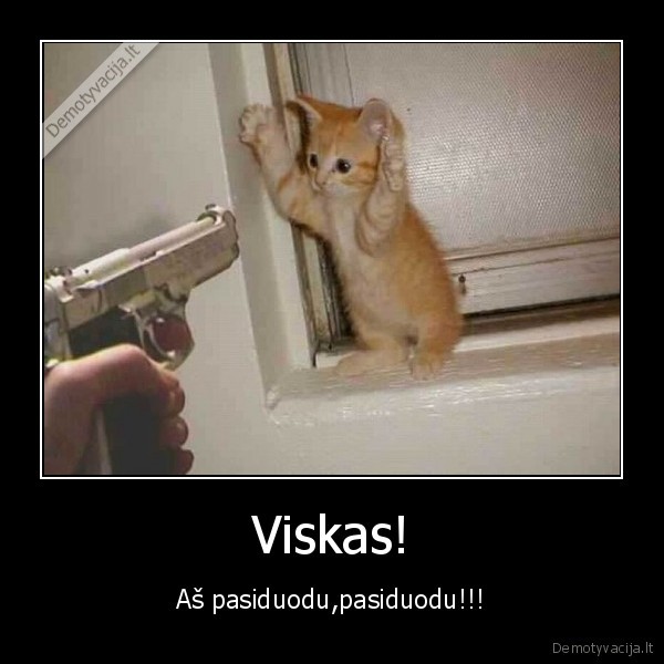 Viskas!