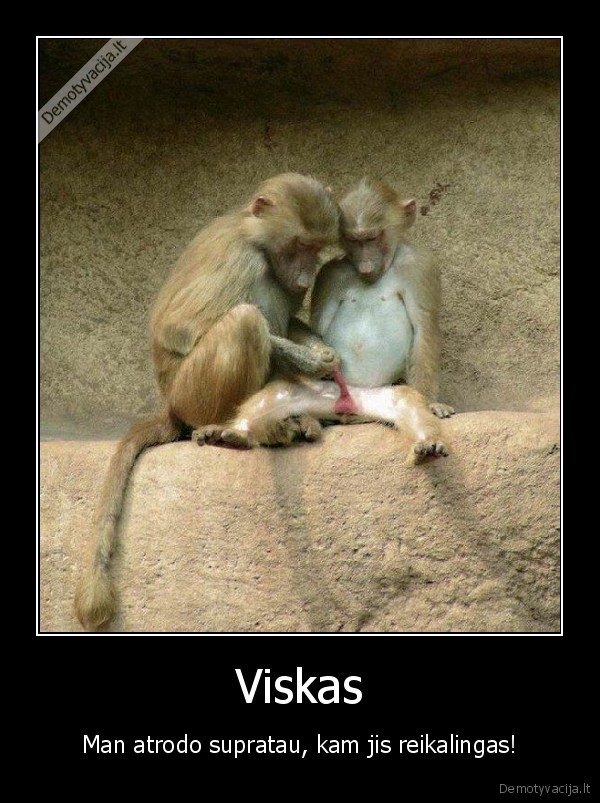 viskas