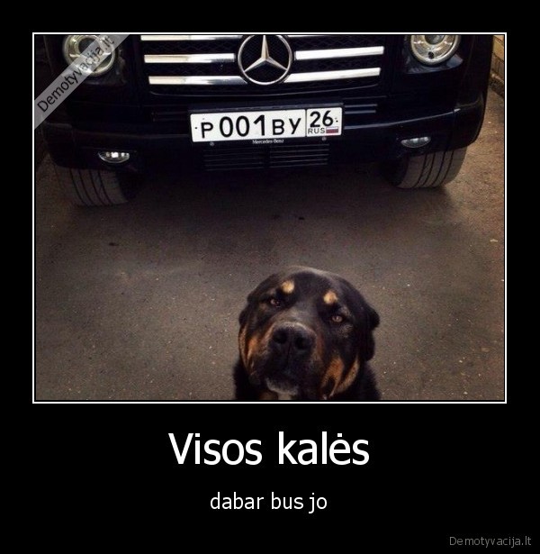 Visos kalės