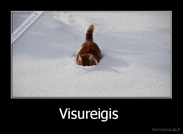 Visureigis 