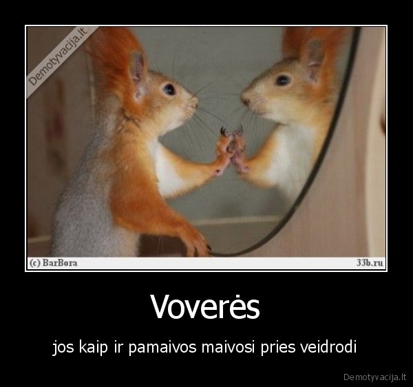 Voverės