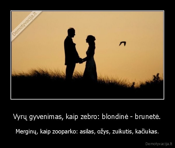 Vyrų gyvenimas, kaip zebro: blondinė - brunetė.