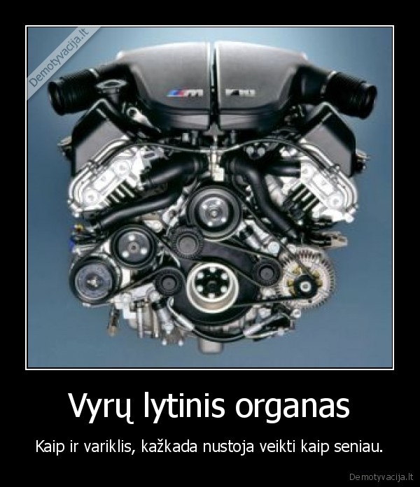 Vyrų lytinis organas