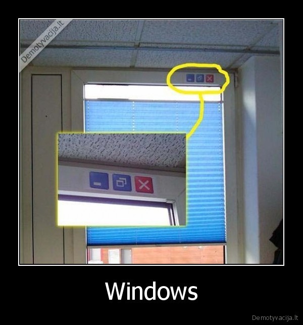 Windows