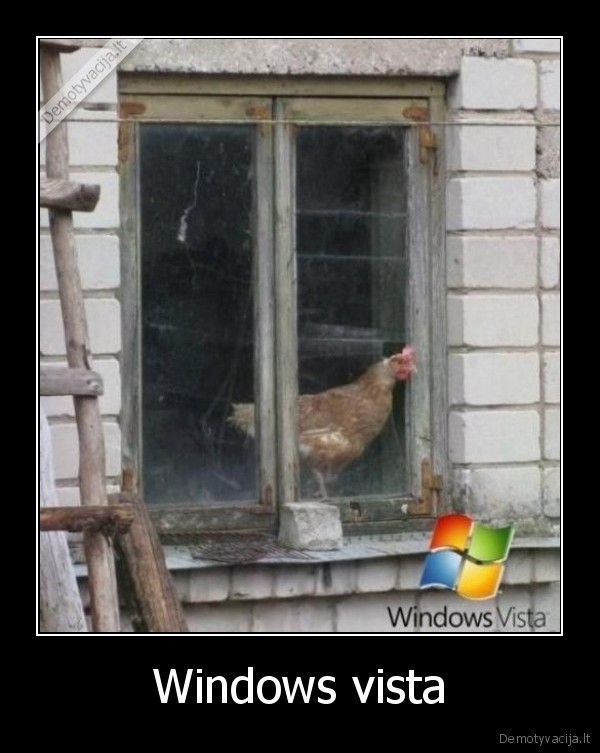 Windows vista