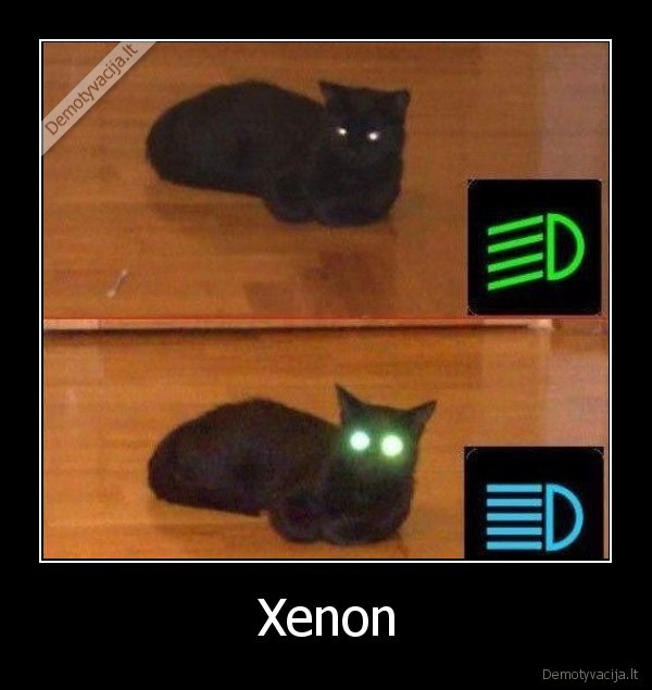 Xenon