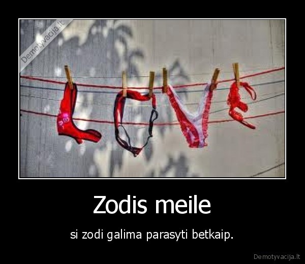 Zodis meile