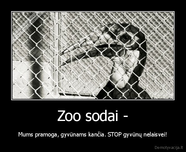 Zoo sodai -