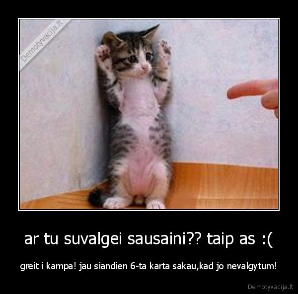 ar tu suvalgei sausaini?? taip as :(