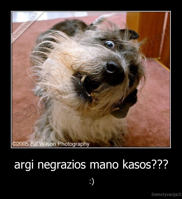 argi negrazios mano kasos???