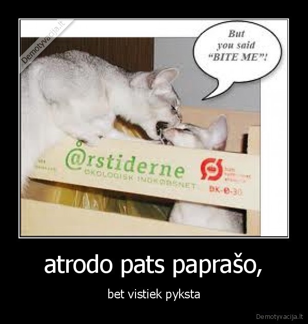 atrodo pats paprašo,