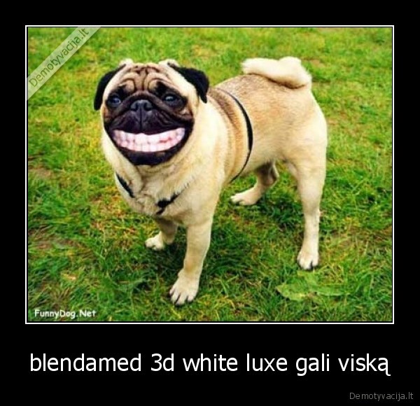 blendamed 3d white luxe gali viską