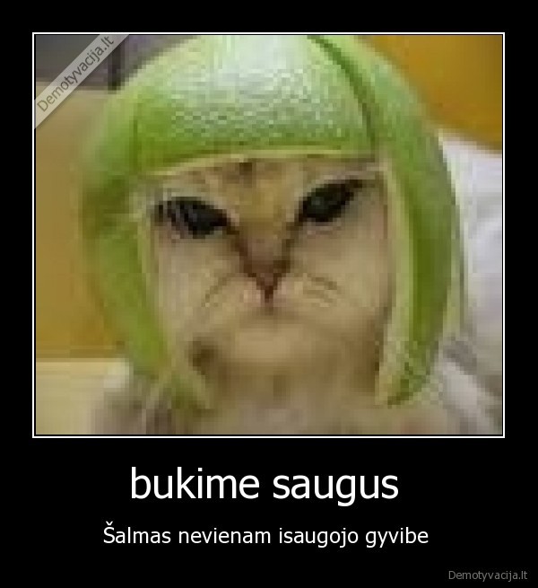 bukime saugus 