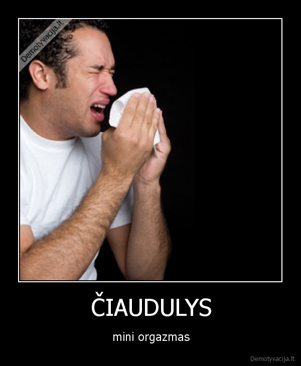 ČIAUDULYS