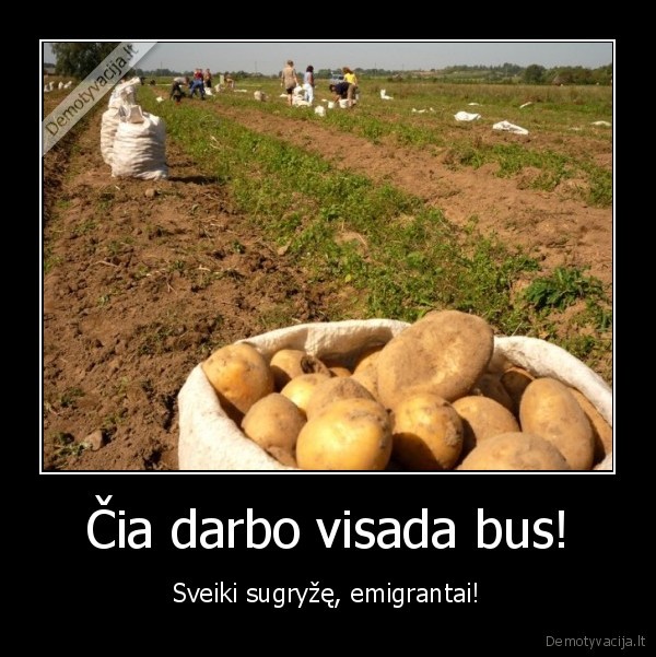 Čia darbo visada bus!