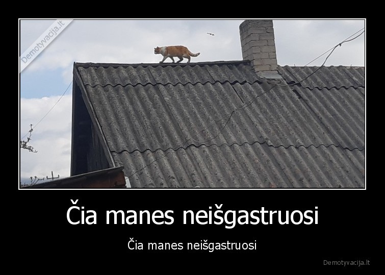 Čia manes neišgastruosi