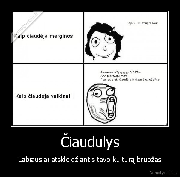 Čiaudulys