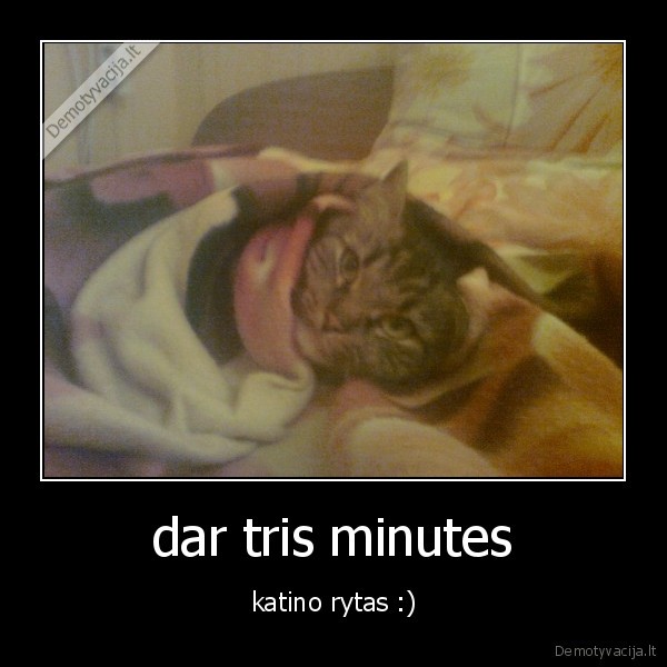 dar tris minutes