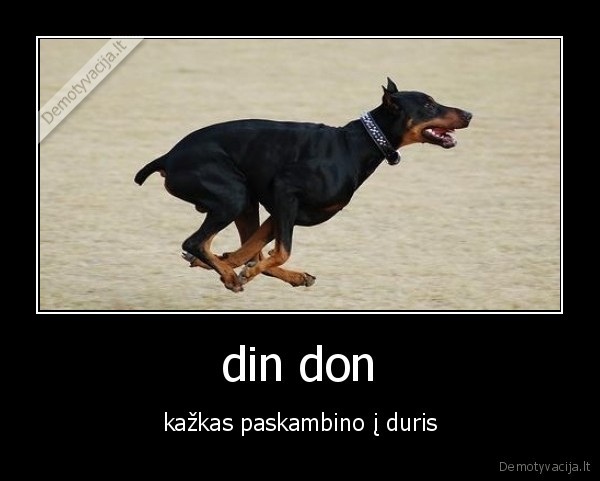 din don