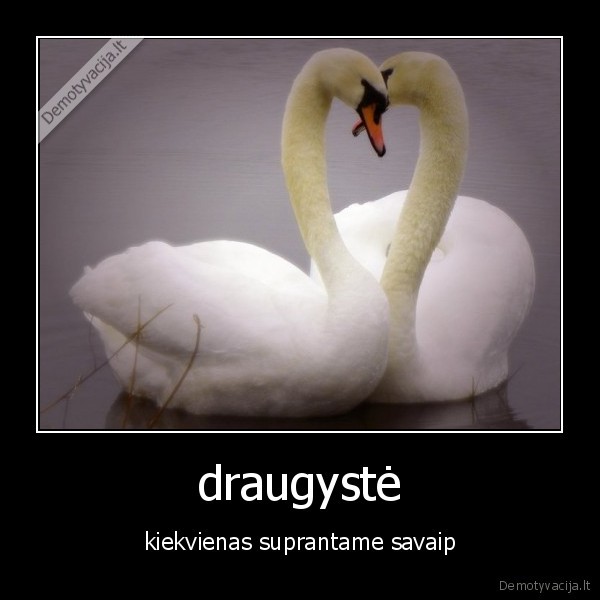 draugyste,laime