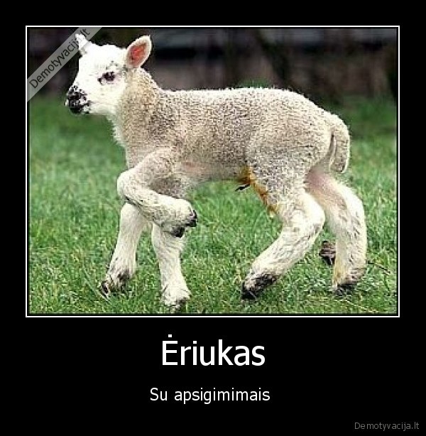 eriukas