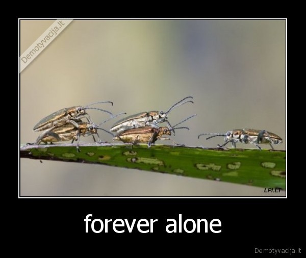 forever alone