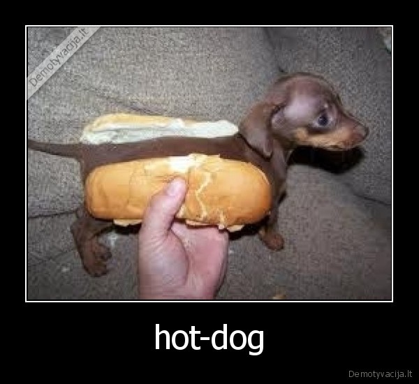 hot, dog