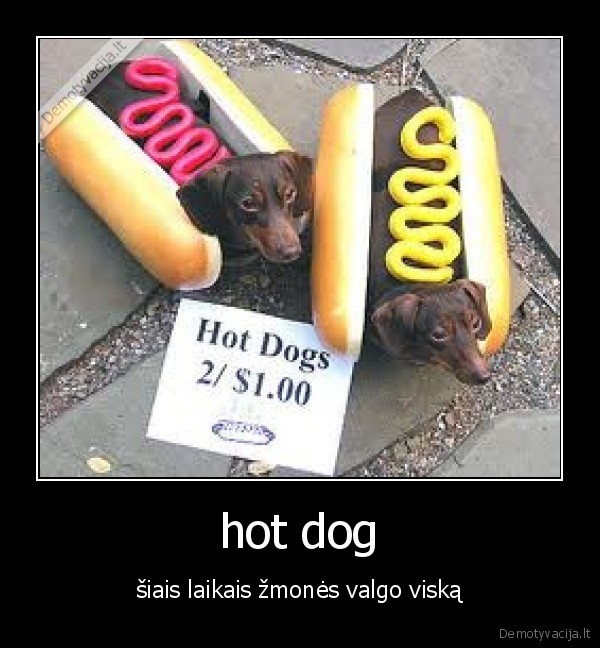 hot dog