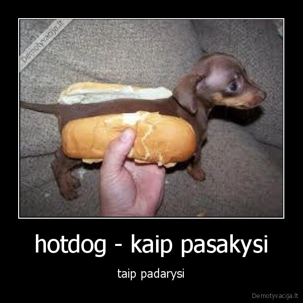 hotdog - kaip pasakysi