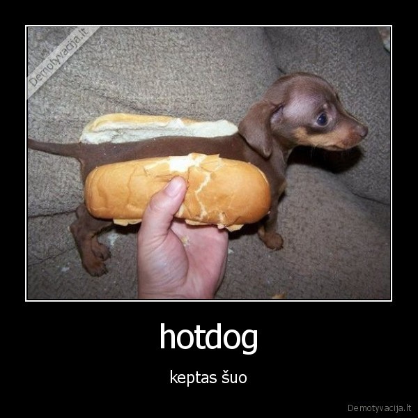 hotdog