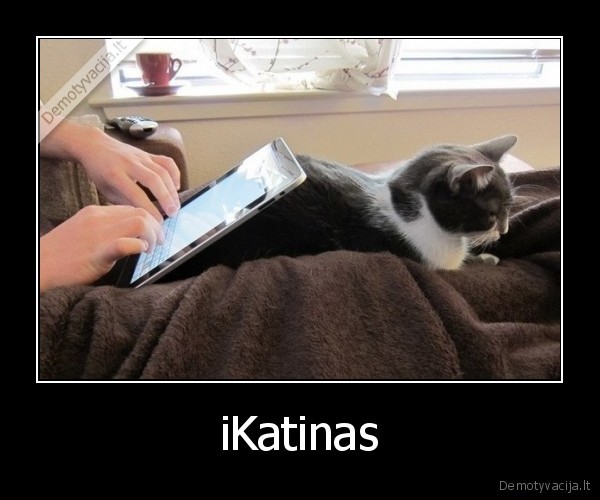 katinas,ipad