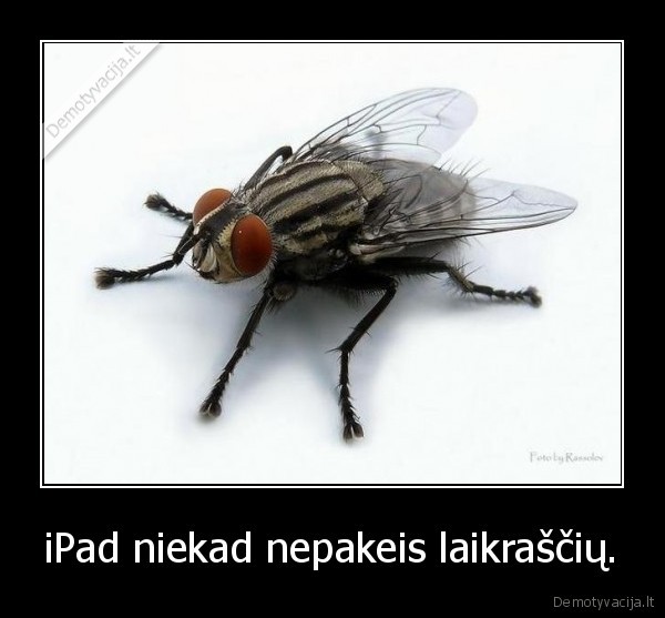 iPad niekad nepakeis laikraščių.