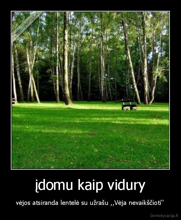 įdomu kaip vidury