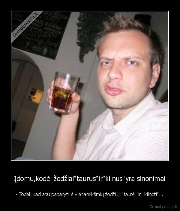 Įdomu,kodėl žodžiai&quot;taurus&quot;ir&quot;kilnus&quot;yra sinonimai