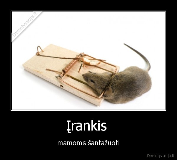 Įrankis 