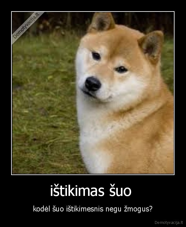 ištikimas šuo 